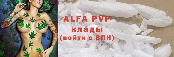 мдпв Пестово