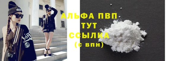 СК Нижний Тагил