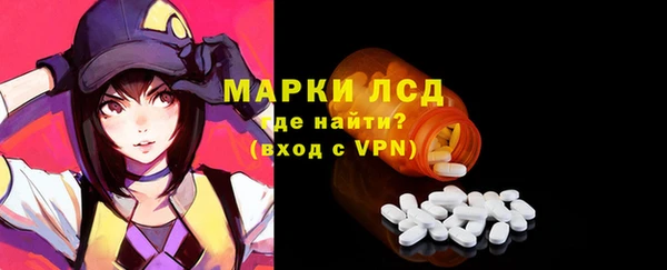 PSILOCYBIN Горнозаводск