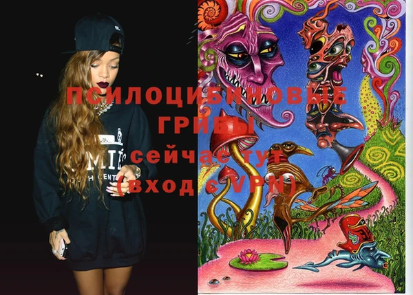 мдпв Пестово