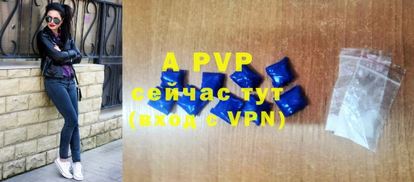 прущая мука Пересвет