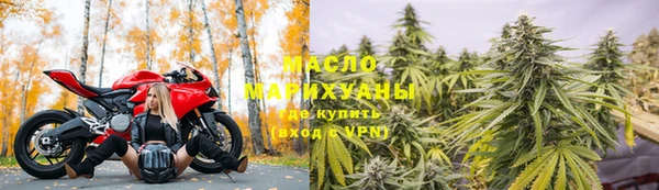 мдпв Пестово