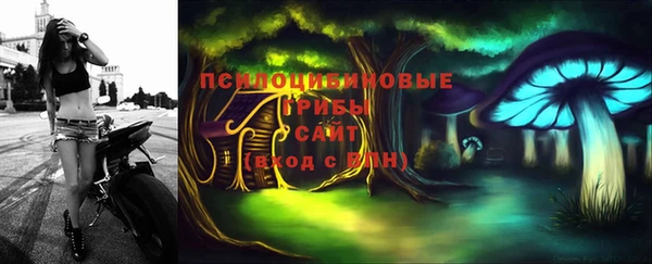 мдпв Пестово