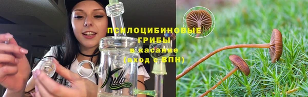 мдпв Пестово