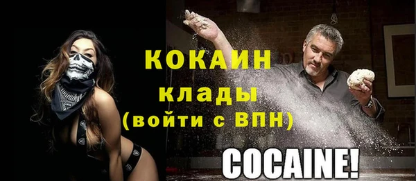 мдпв Пестово