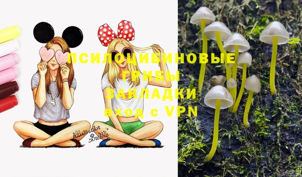прущая мука Пересвет